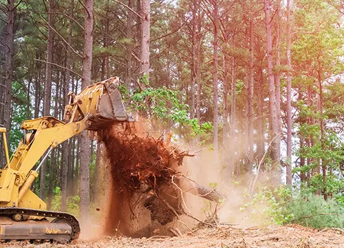 Land Cleaning Services